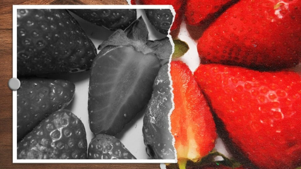 A photo of strawberries, torn in half and partially grayed out, to symbolize the censorship of Julianne Moore's children's book Freckleface Strawberry