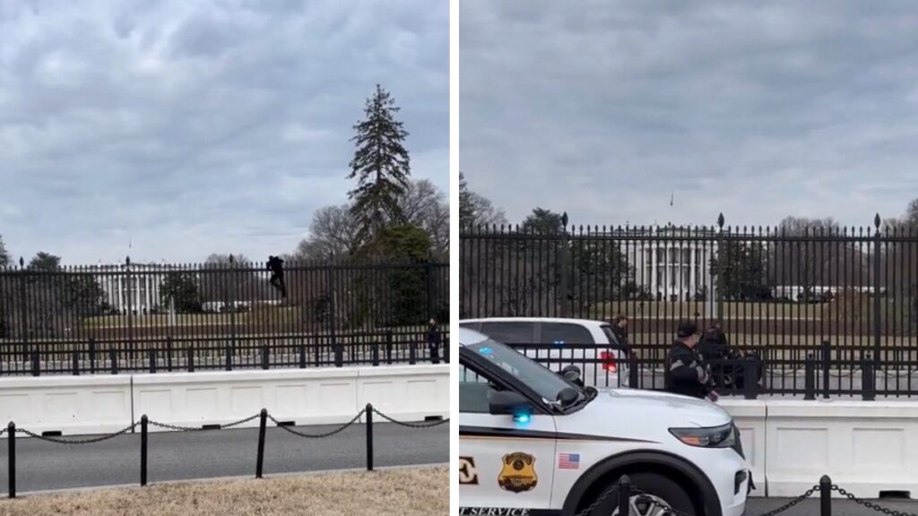 Man Climbing White House Fence