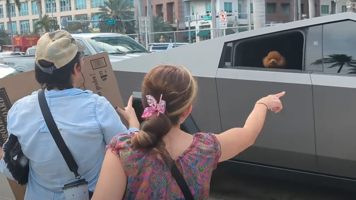 Tesla Cybertruck Owner Sparks Outrage at Miami Anti-Trump Protest Before His Dog Saves the Day