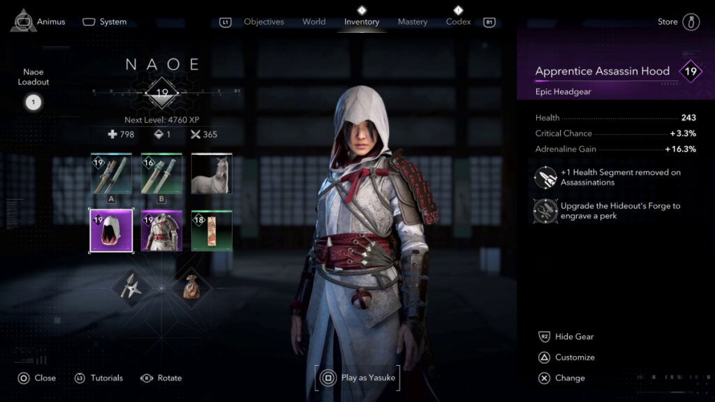 Apprentice Assassin Gear Stats