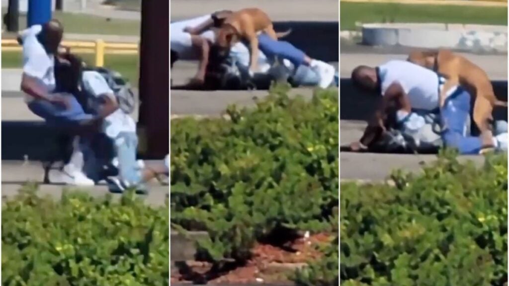 Viral Atlanta Clip Shows 'Inter-Species Threesome' as Two Dudes & a Dog Brawl in Broad Daylight: 'Best Video on the Internet Ever!'