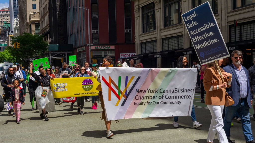 New York CannaBusiness C of C on 50th annual Cannabis March in NYC.