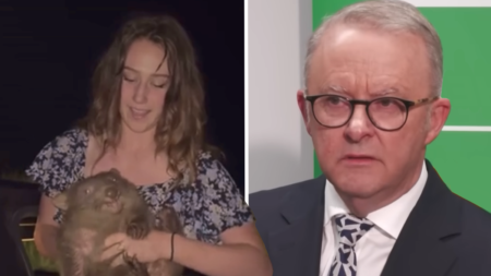 Montana Influencer 'Insults Australians' and Calls Prime Minister 'Villain' After Getting Slammed for Taking Wombat From Its Mother