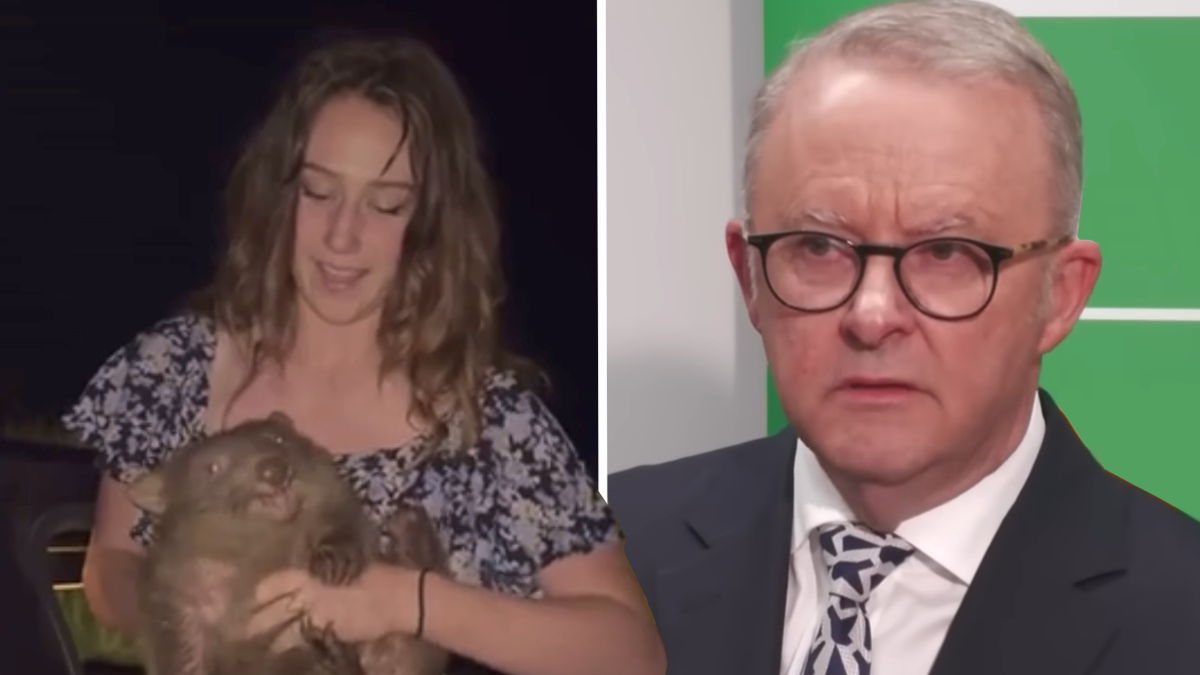 Montana Influencer ‘Insults Australians’ and Calls Prime Minister a ‘Villain’ After Getting Slammed for ‘Kidnapping’ Wombat From Its Mother: ‘Hypocrisy at Its Finest’