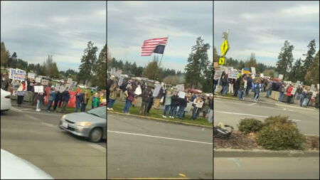 A collage of pictures from the Olympia veteran protest against Trump