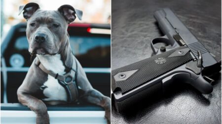 Trigger Happy Pup Shoots Memphis Man While in Bed With Girlfriend: 'We Need Stricter Dog Laws!'