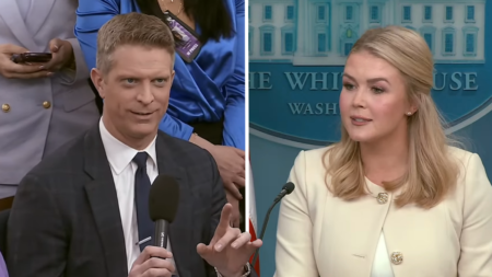 Press Secretary Karoline Leavitt Humiliated by Reporter During White House Briefing