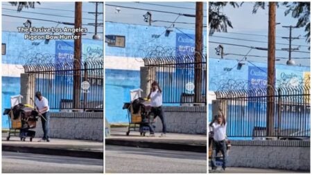 The Los Angeles "Pigeon Bow Hunter" Caught on Camera Actively Trying to Shoot Pigeons for Dinner