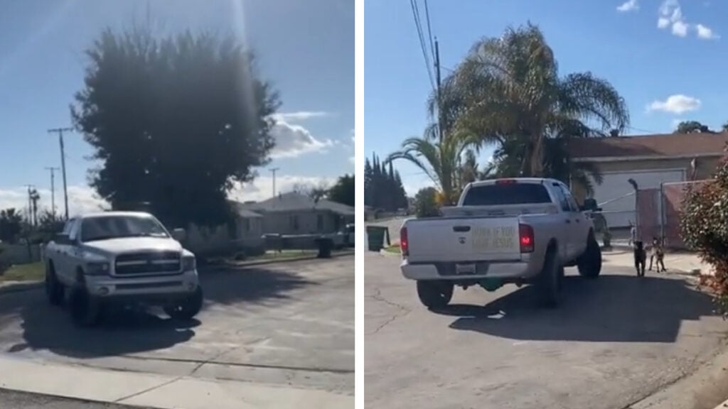 Truck Drivers Abandons Dogs Bakersfield