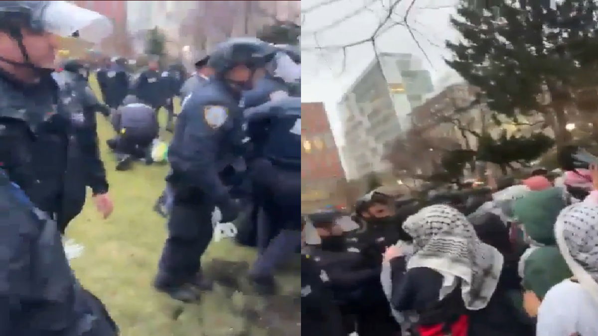 Police Arrest Protestors at Columbia University, New York Following Bomb Scare: ‘They’re Being So Aggressive for What?’