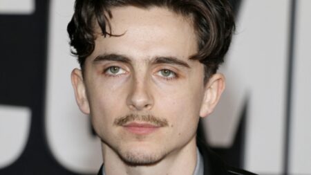 Timothee Chalamet on the red carpet sans Kylie Jenner