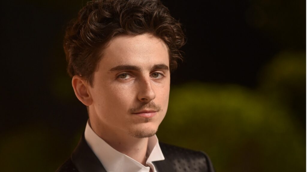 Timothee Chalamet at Oscars afterparty