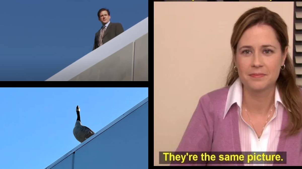 Indianapolis Worker Gets Judged by a Goose on Their Way to Work: ‘This Goose Called Me an Ignorant S**t’