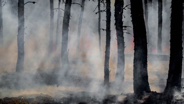 Los Angeles Residents Turn To DIY Science After Wildfire Insurance Denials: ‘It Is an Issue That This Is Even Necessary’ Los Angeles Residents Turn To DIY Science After Wildfire Insurance Denials: ‘It Is an Issue That This Is Even Necessary'