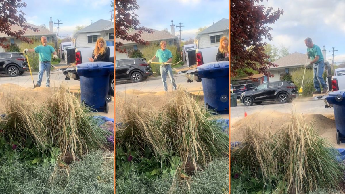 Utah Man Caught Red-Handed Stealing Front Yard Dirt: ‘OMG He is So Weird’