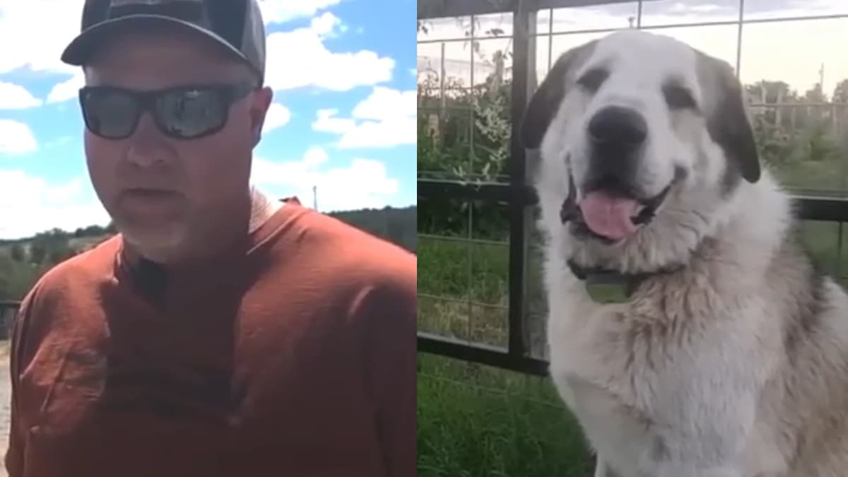 Arizona Toddler Led to Safety by Rancher’s Dog After Walking 7 Miles Alone: ‘The Goodest of Good Boys’