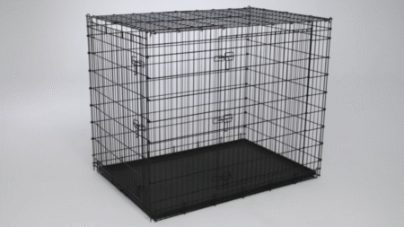 Abusive New Jersey Couple Forces Daughter Forced To Live in Dog Crate
