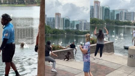 Playful dog runs away from owners at Lake Eola Park in Florida