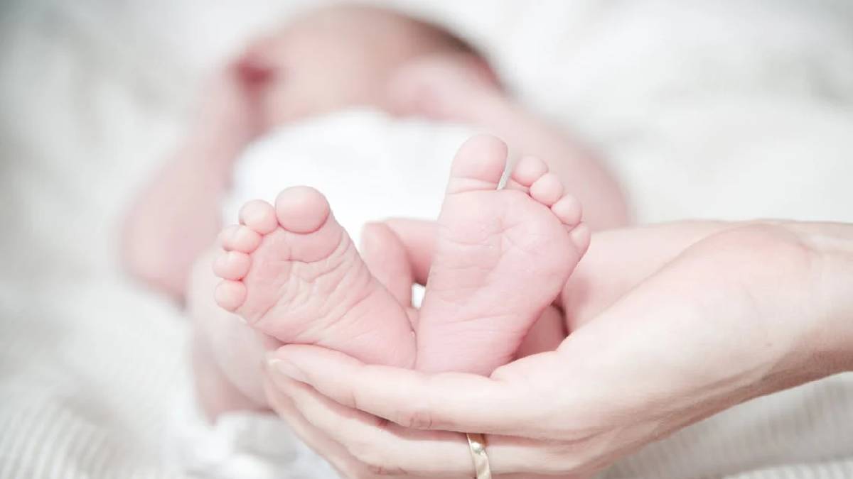 Woman in Minnesota Has To Pay 5K to Have Custody of Her Brother’s Sperm: ‘The Only Bullet-Proof Way’