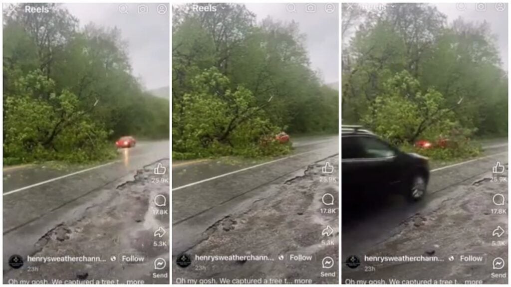 Vermont Woman Crashes into a Fallen Tree on the Road at Speed