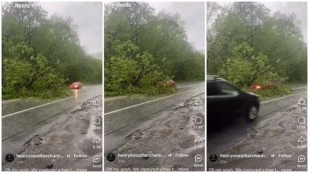 Vermont Woman Crashes into a Fallen Tree on the Road at Speed