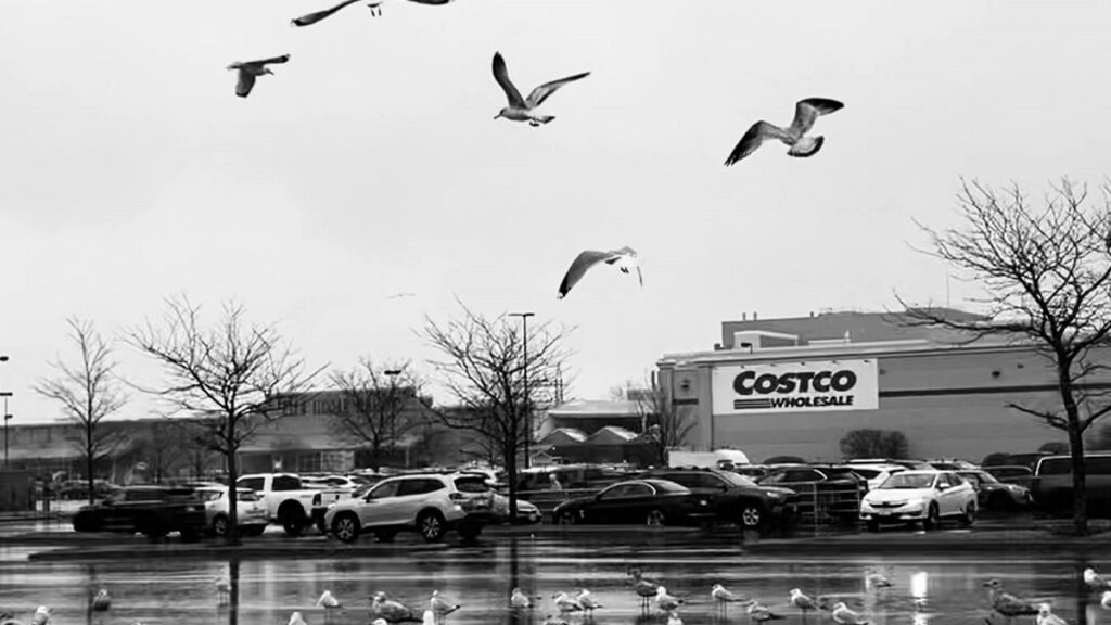 a chef in florida buys spoiled lamb from costco