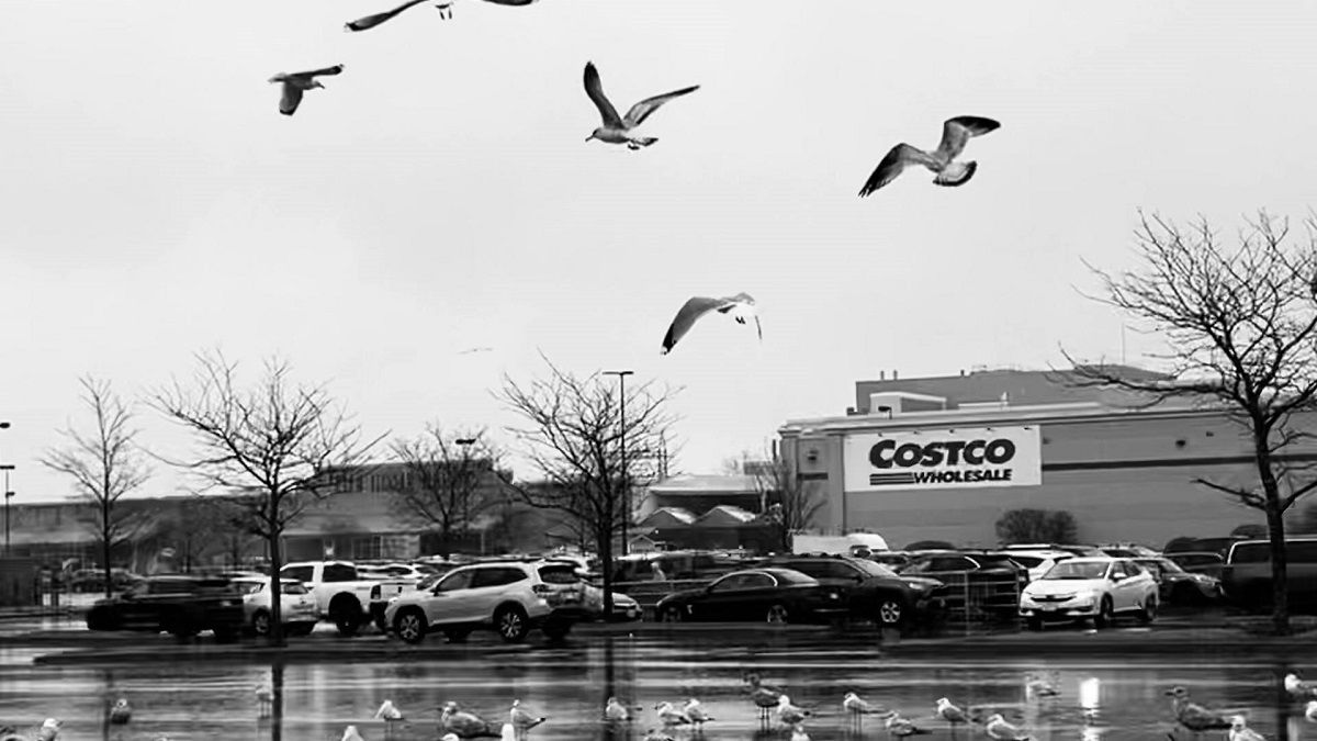 Florida Chef Accuses Costco of Selling Spoiled Lamb, “There’s a Second Label Under the Label”
