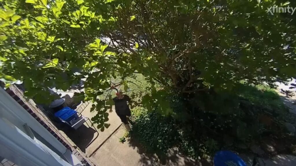 A picture of the Philadelphia man's neighbor.