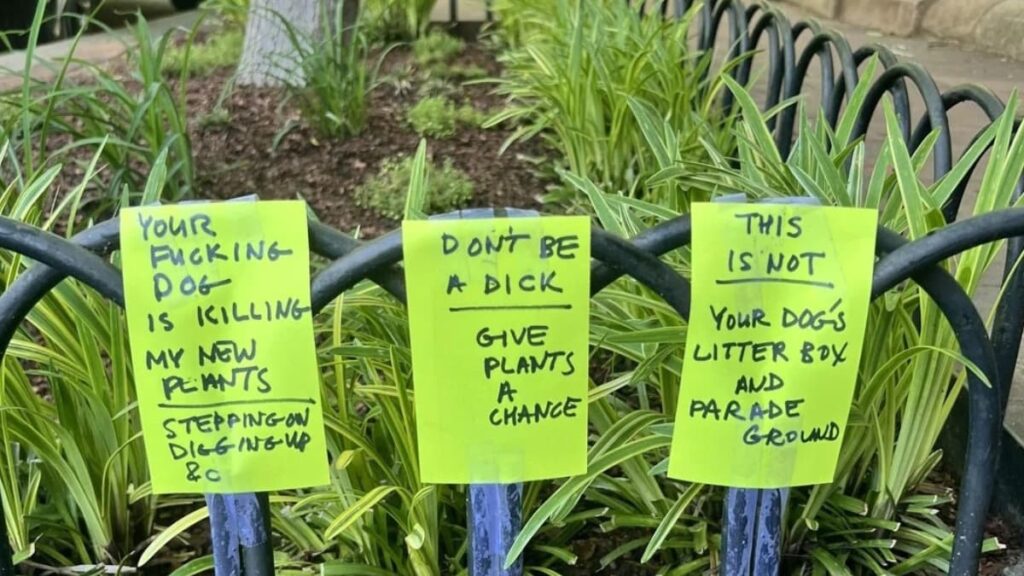 A picture of the Washington man's signs.