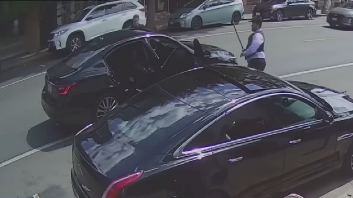 California Carjackers Get More Than They Bargained For as Bystanders Smash Their Car: “What has happened to us?”
