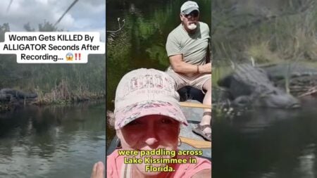 Alligator attack Florida
