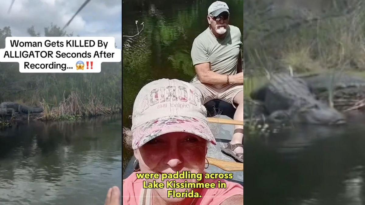 Shocking Video Shows Giant Florida Gator Before It Killed a Woman: ‘Did the Alligator Just Post This?!’
