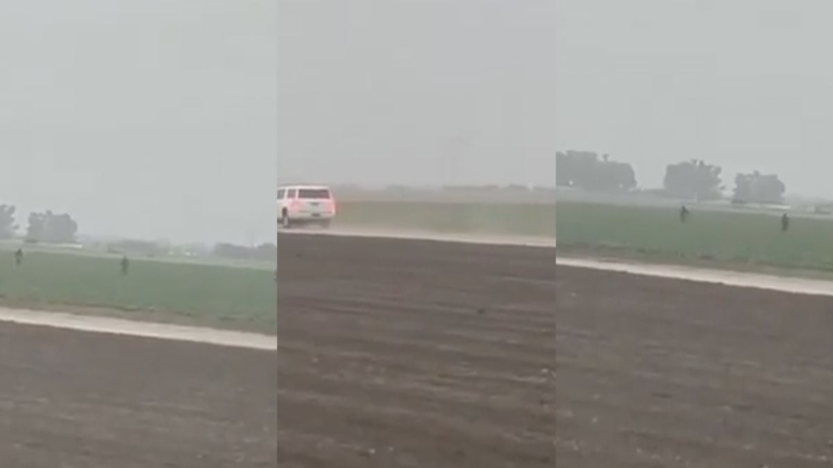 California Farm Workers Flee From ICE Agents in ‘Dystopian’ Hot Chase Caught on Camera: ‘Food Is About To Get Real F**King Expensive’