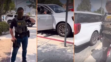 Community Saves Woman from Masked ICE Agents with Illinois Plates 'These Dudes are a Danger to the Public'