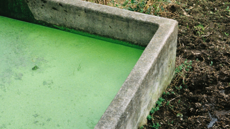 Florida Neighbors Illegally Dump Septic Waste and Contaminate the Next-Door Homeowner’s Well: ‘Now We Have E. Coli on Our Water’ Florida Neighbors Illegally Dump Septic Waste and Contaminate the Next-Door Homeowner's Well