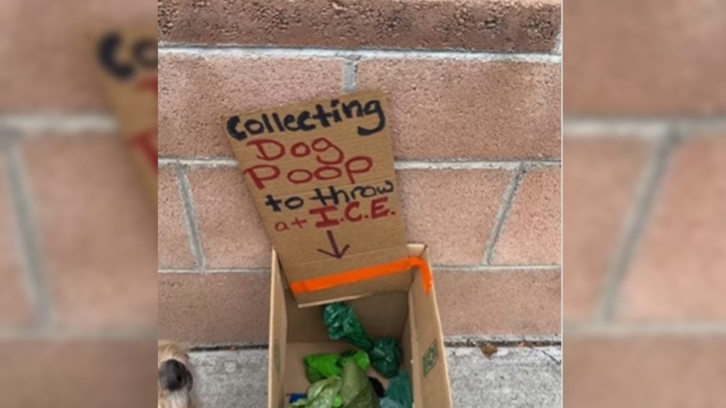 Los Angeles Person Collecting Poop to Throw at ICE