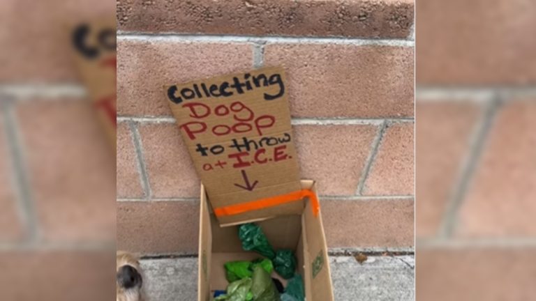 Los Angeles Person Collecting Poop to Throw at ICE