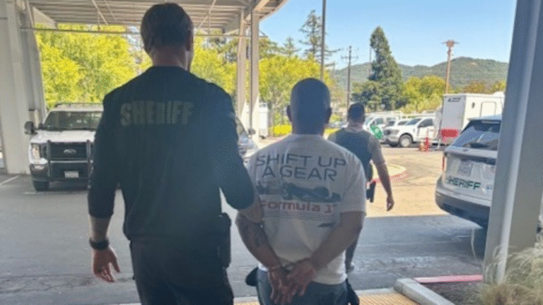 ‘A**Hole’ Arrested for Stealing Nintendo Switch Games From Public Libraries in California: ‘Stealing From the Kids, smh’ Man Arrested for Stealing Nintendo Switch Games From Public Libraries in California
