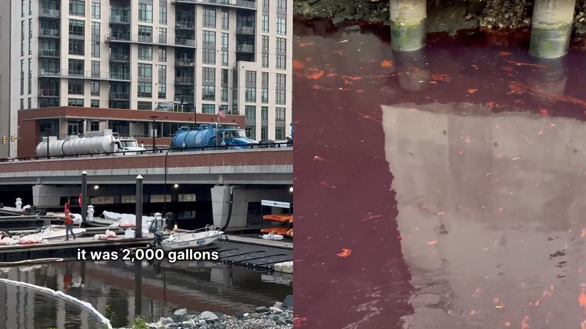 Baltimore Harbor Sees Red After 2,000 Gallon Diesel Spill: ‘Poor Wildlife’