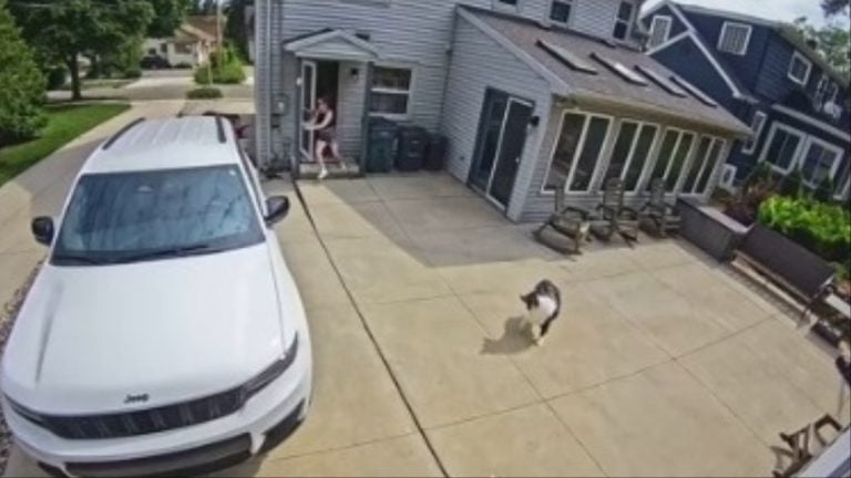 Michigan baby rolls down a driveway in a stroller