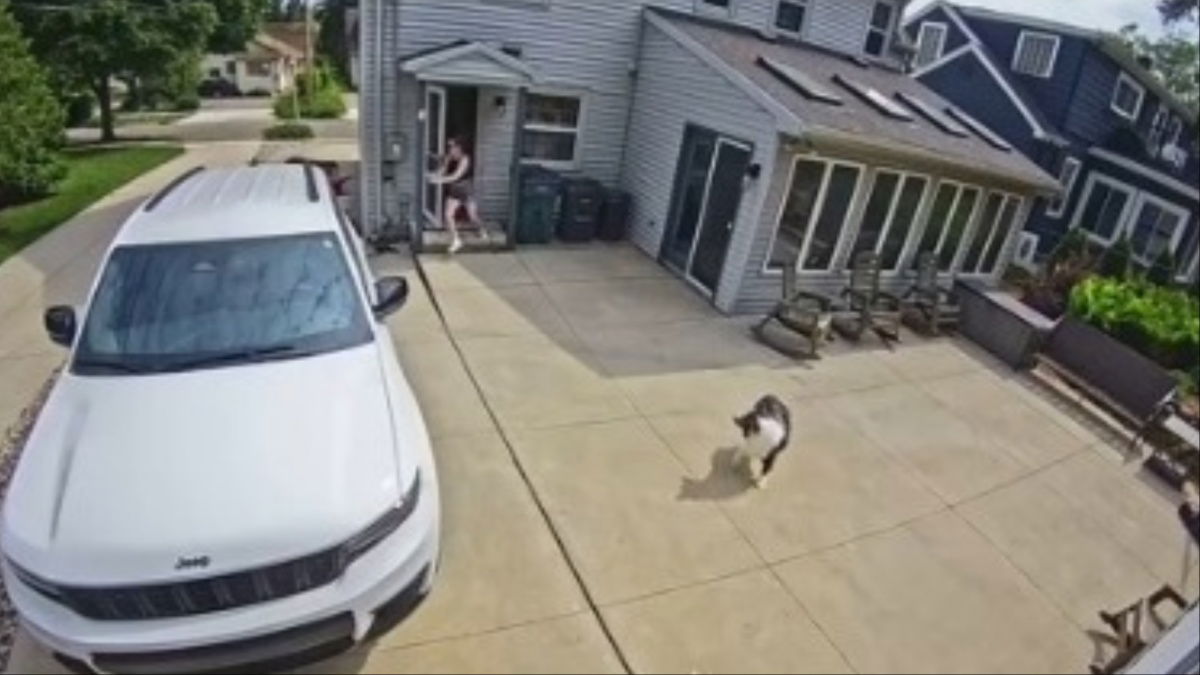 Michigan Baby Has ‘Adventure’ When Stroller Rolls Away From Frantic Mother: ‘How Quickly Things Can Change’