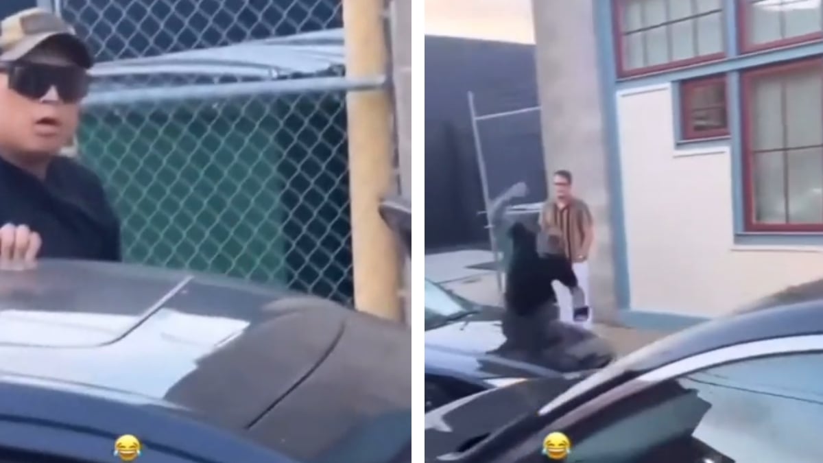 Irate Pittsburgh Driver Goes Berserk After Crashing, ‘Great Way To Ensure That You Won’t Be Able To Get Your Insurance’