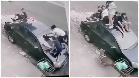 Six Terrified Youths Jump on Car to Escape Vicious Pitbull Attack in Vancouver