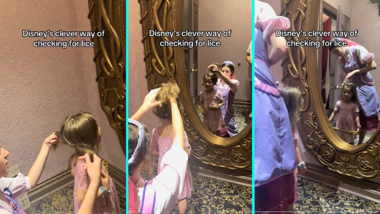 Disney World Hair Inspection Baffles Family on Florida Vacation, ‘Hopefully No Parent Takes Offense to This’ a girl being checked for lice at disney world in florida