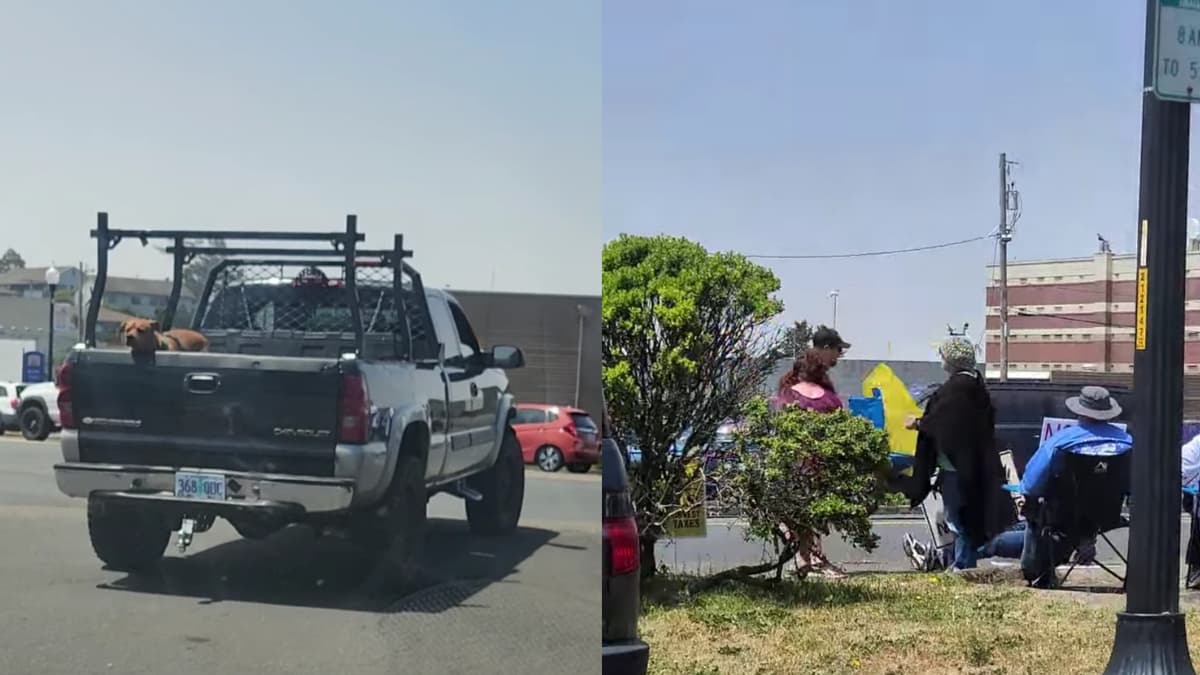 Violent Trump Supporters Physically Attack Elderly Anti-Trump Protester in Oregon Leading to His Hospitalization: ‘Feral’