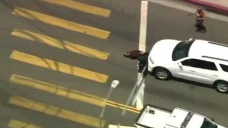 A picture of the Los Angeles protester.