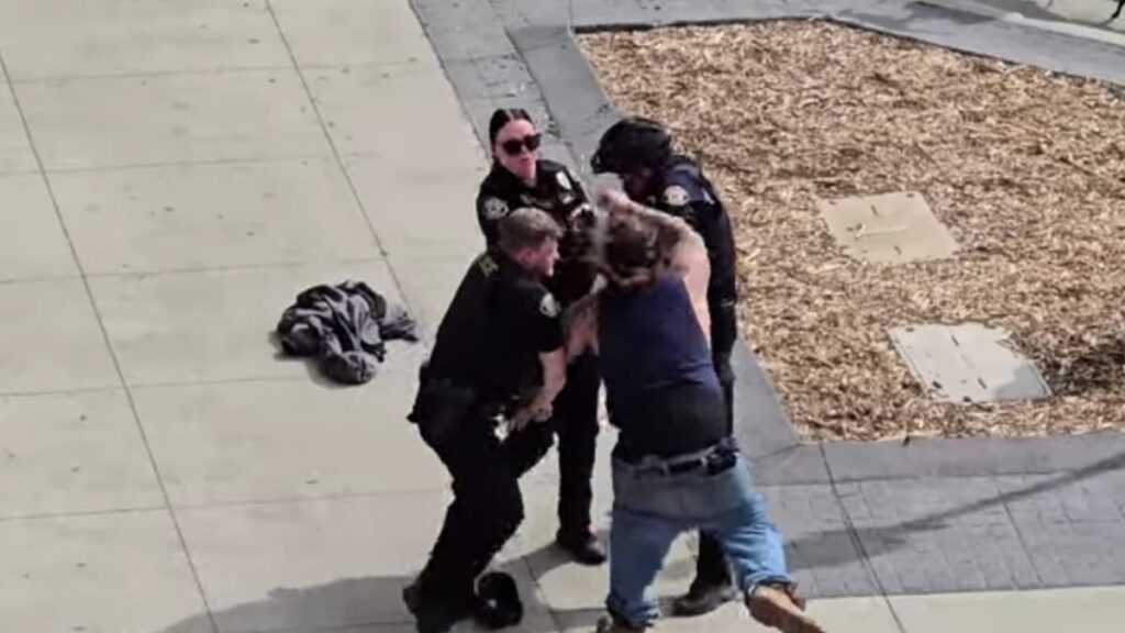 A picture of the North Dakota fight.