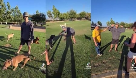 Chino Hills dog trainer