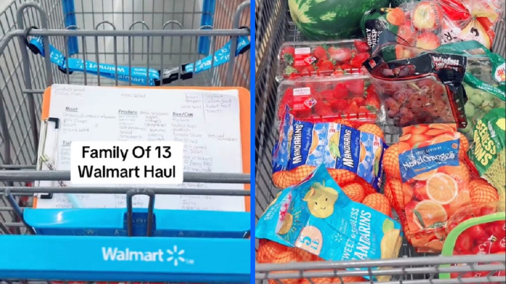 doughertydozen tiktoker shopping at walmart in new york for eleven kids