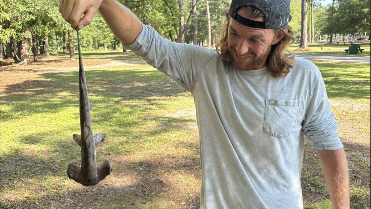 Shark Rains Down on Puzzled South Carolina Man in a Golf Course: ‘When Mother Nature Runs Out of Ideas’